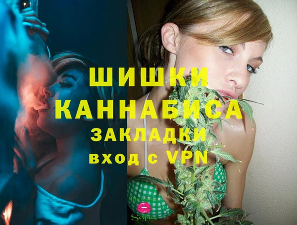 твердый Каменногорск